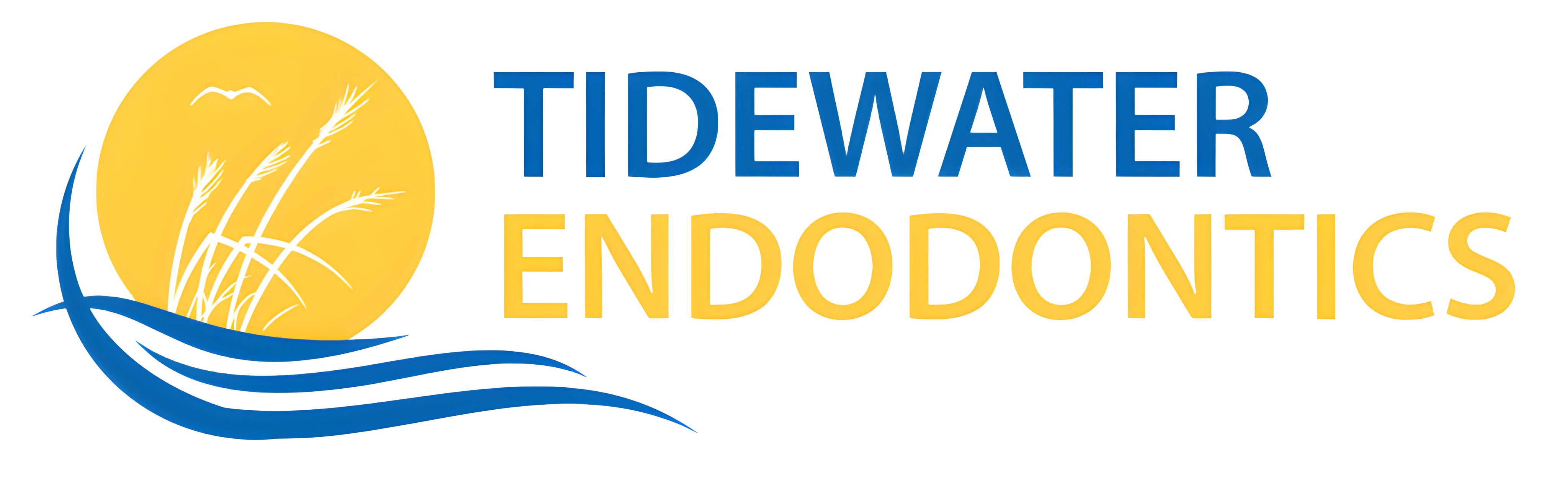 Link to Tidewater Endodontics home page